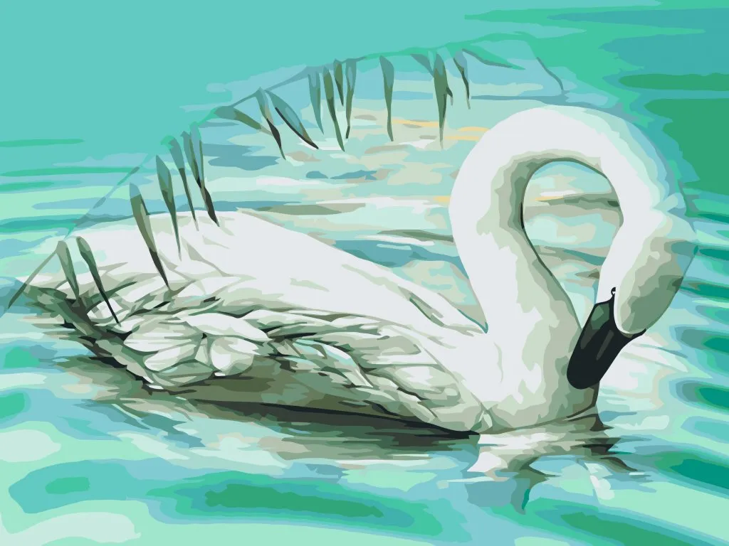 Pintar por Números - Cisne en el lago turquesa
