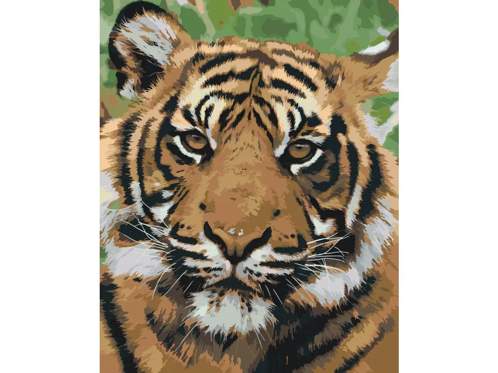Pintar por Números - Cabeza de tigre 2