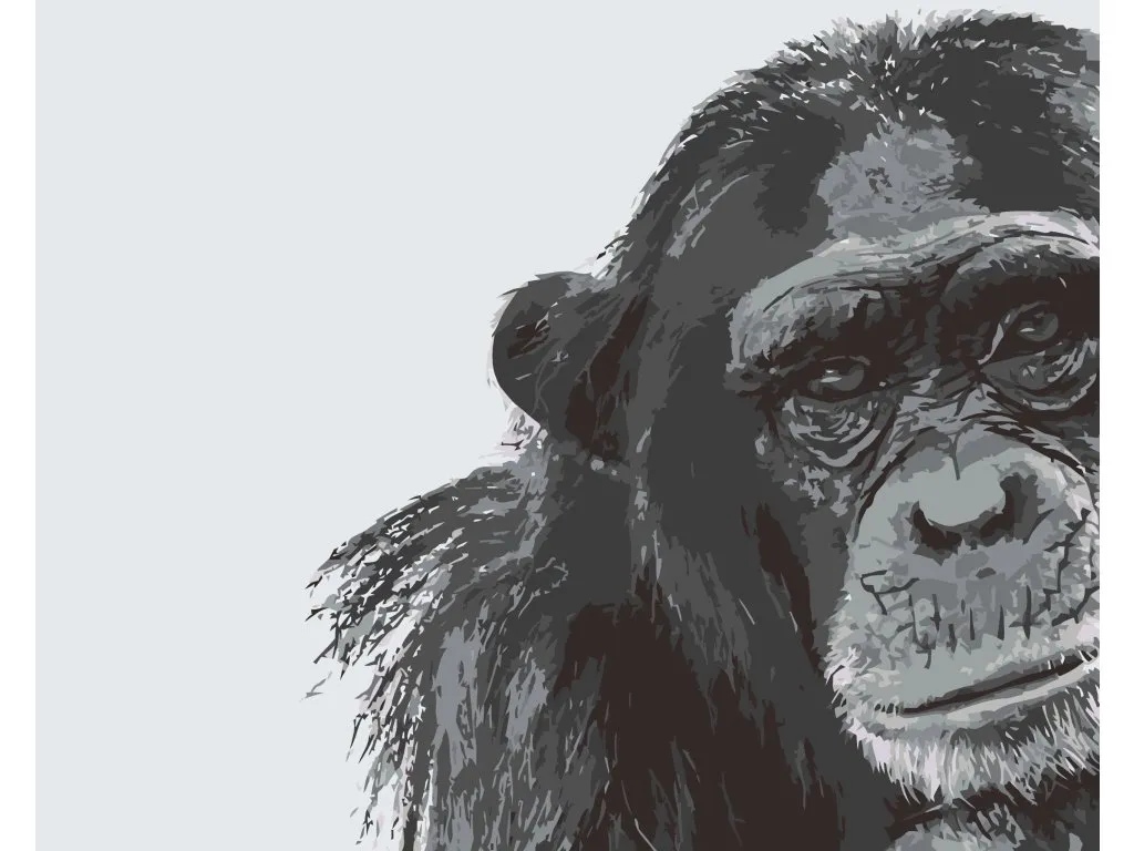 Pintar por Números - Chimpancé