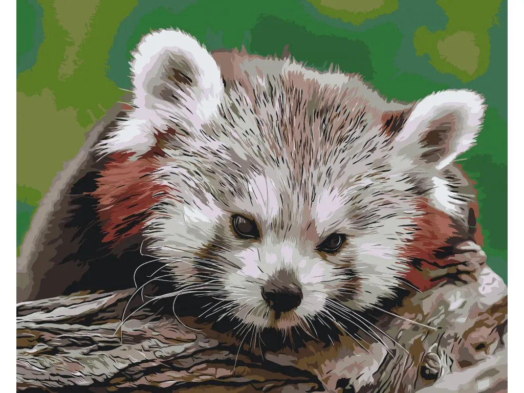 Pintar por Números - Panda rojo