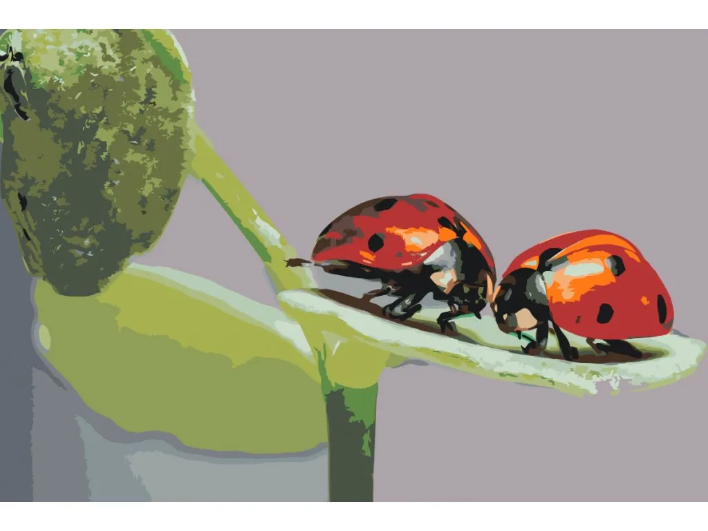 Pintar por Números - Mariquitas
