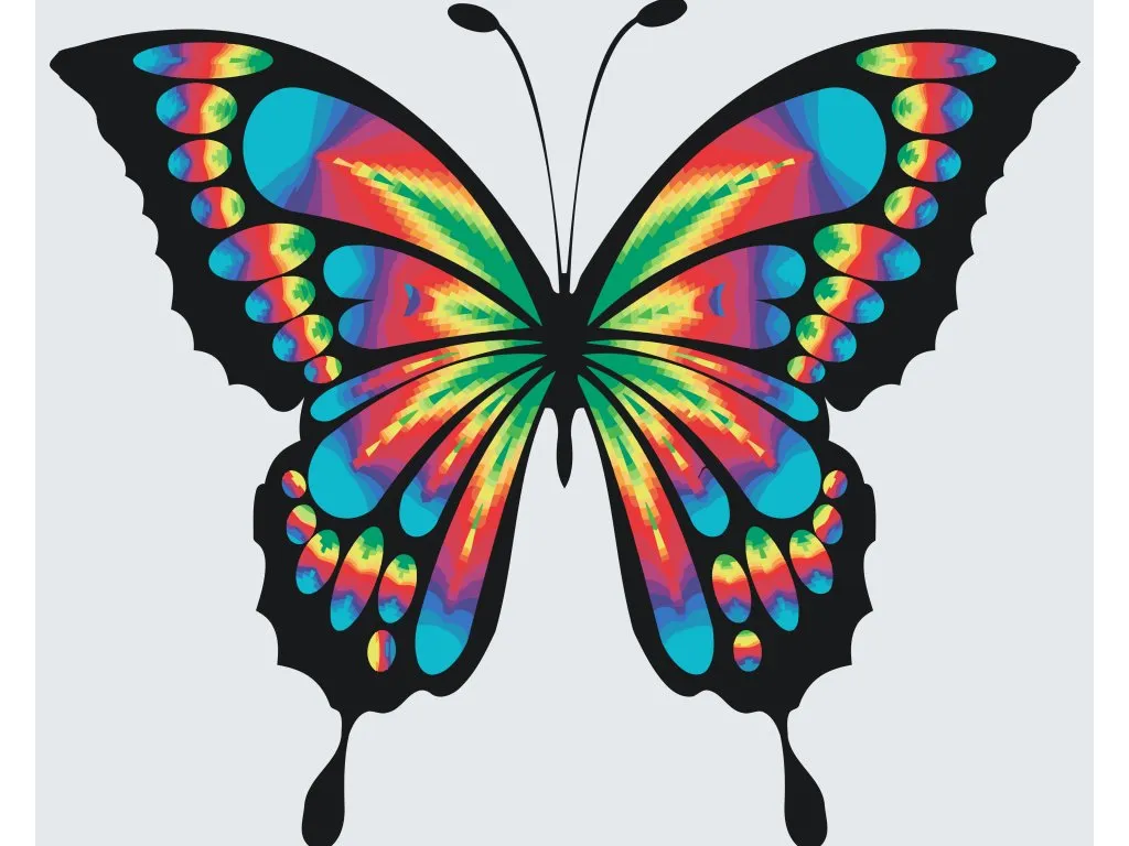 Pintar por Números - Mariposa de colores