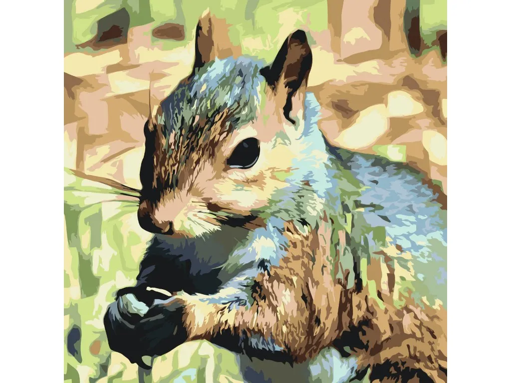 Pintar por Números - Ardilla