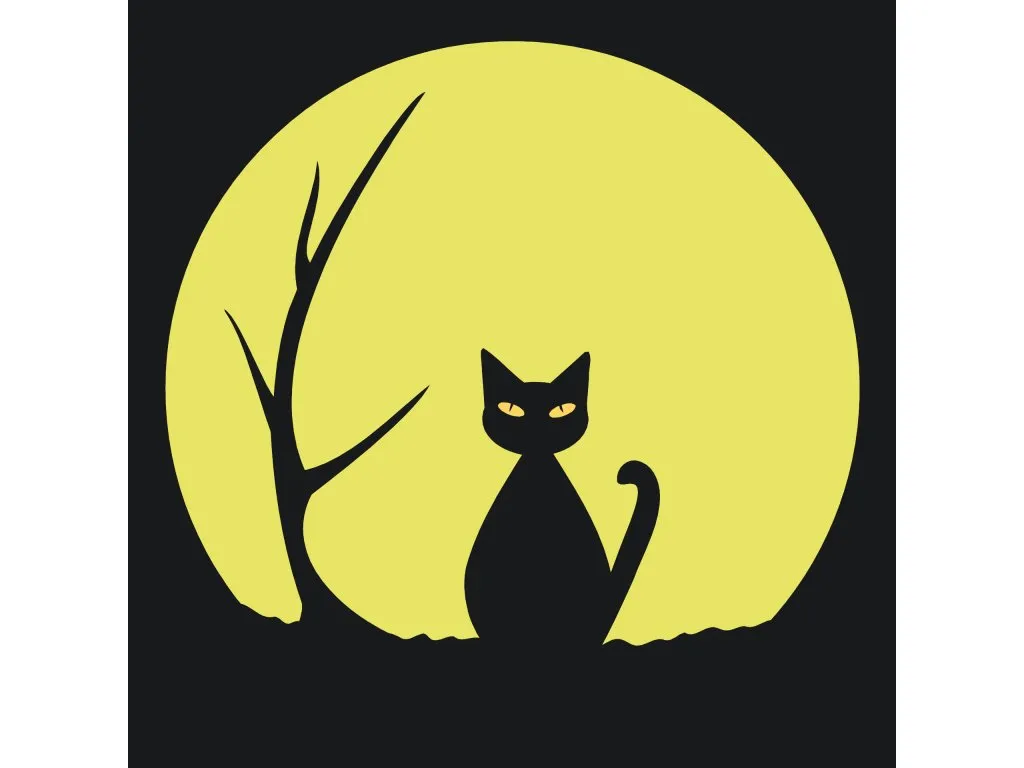Pintar por Números - Gato negro 2