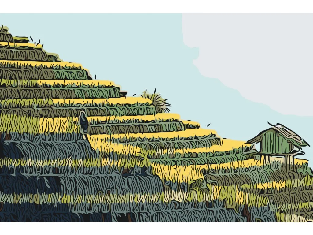 Pintar por Números - Terrazas de arroz