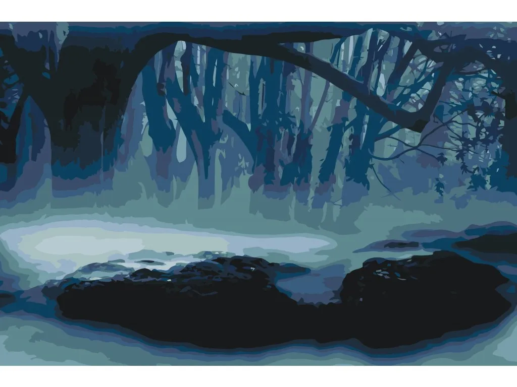 Pintar por Números - Mist in het bos