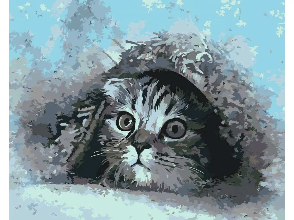 Pintar por Números - Gatito oculto