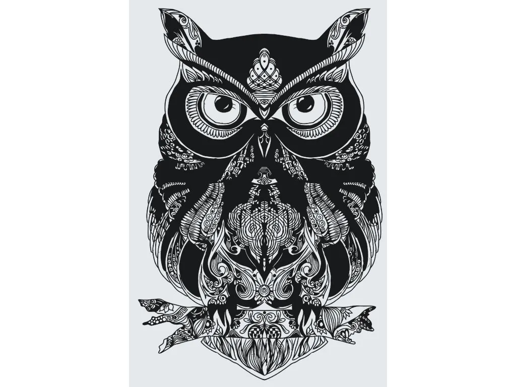 Pintar por Números - Búho mandala