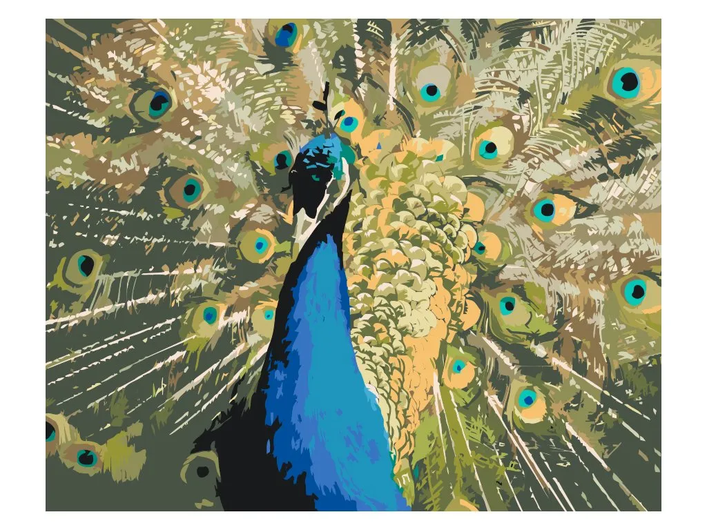 Pintar por Números - Pavo real