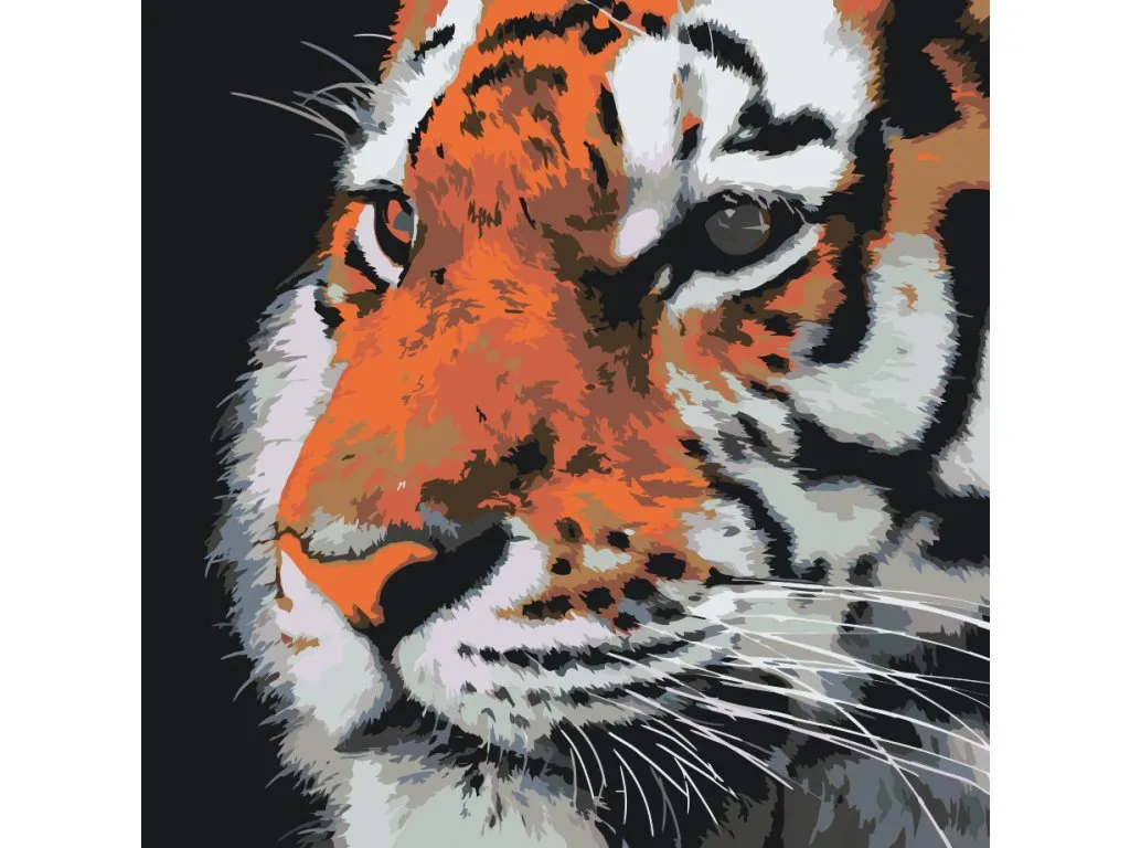 Pintar por Números - Tigre