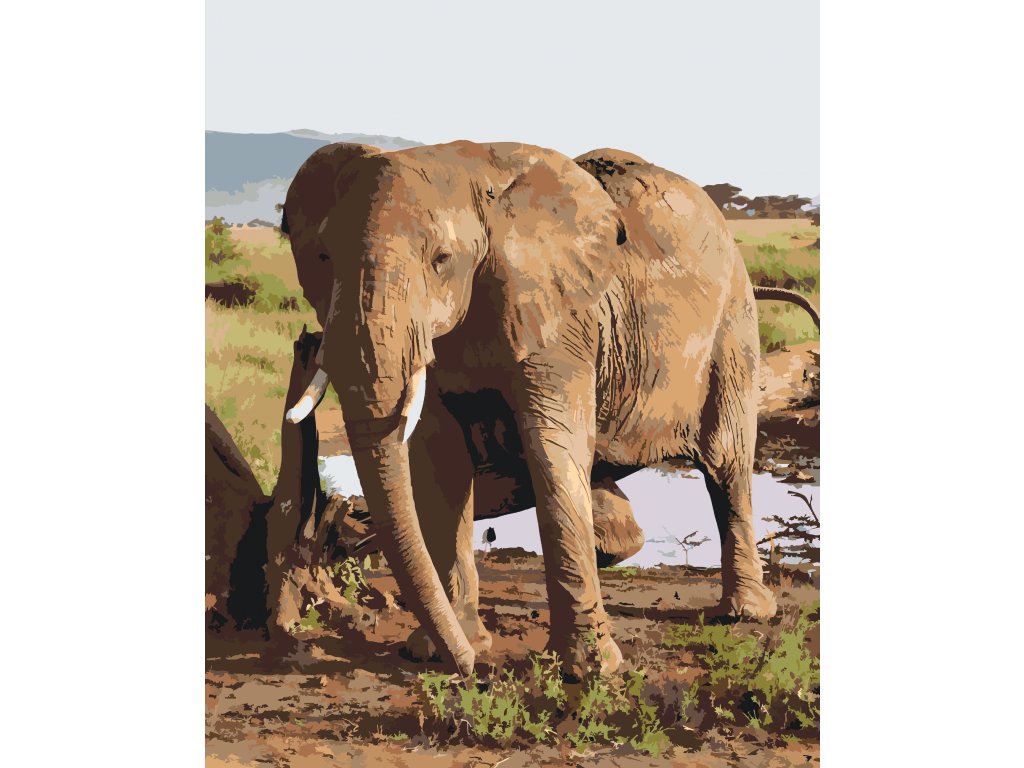 Pintar por Números - Safari - Elefante