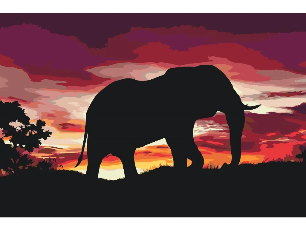 Pintar por Números - Elefante africano al atardecer
