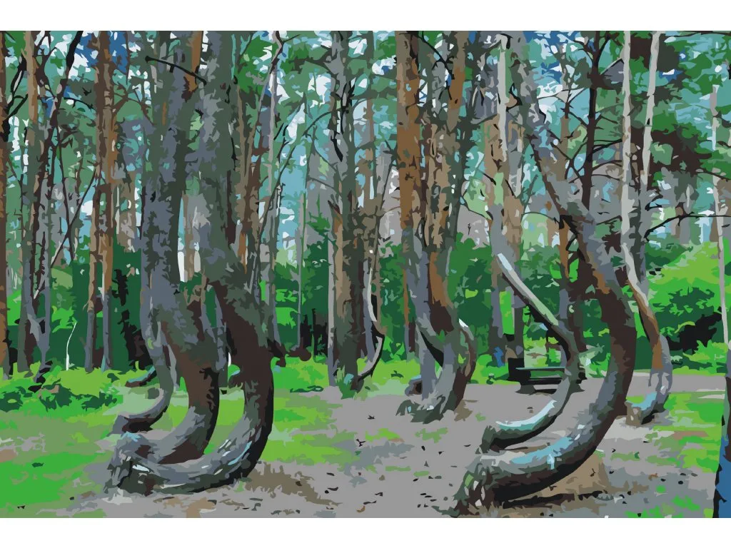 Pintar por Números - Bosque Torcido, Polonia