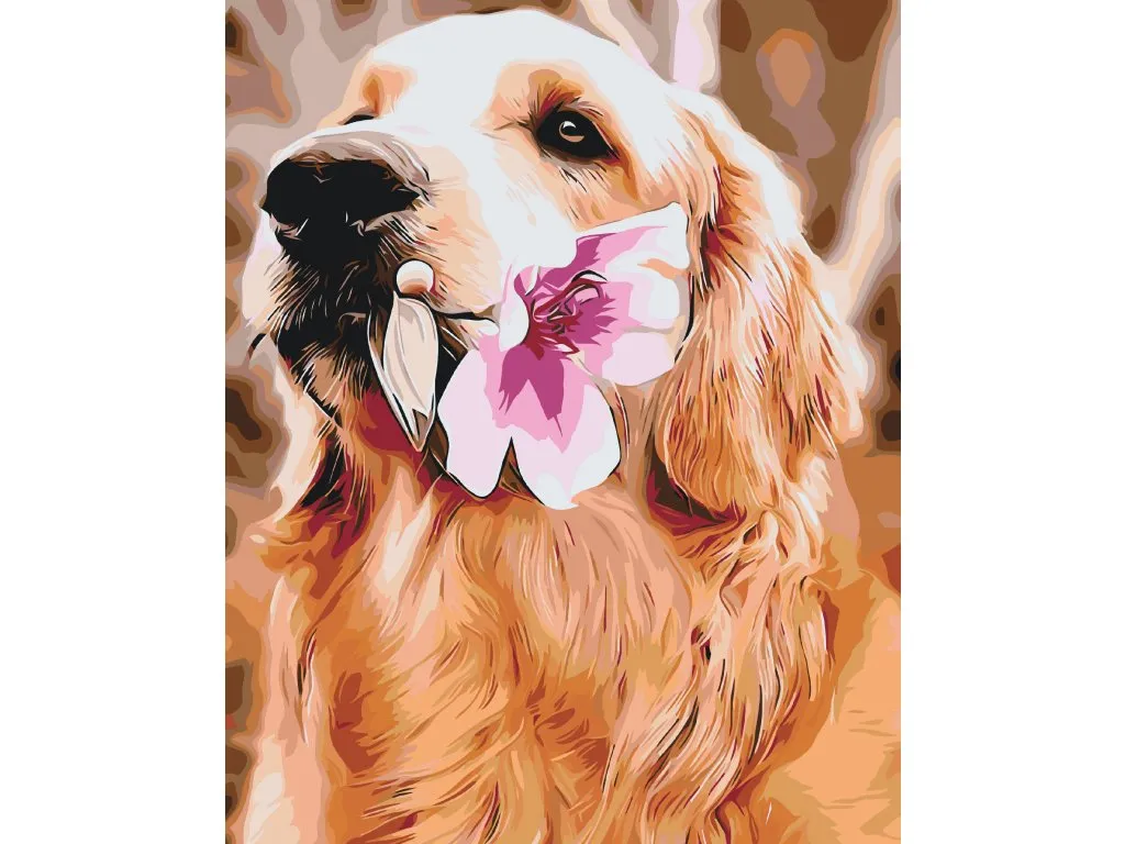 Pintar por Números - Labrador con flor