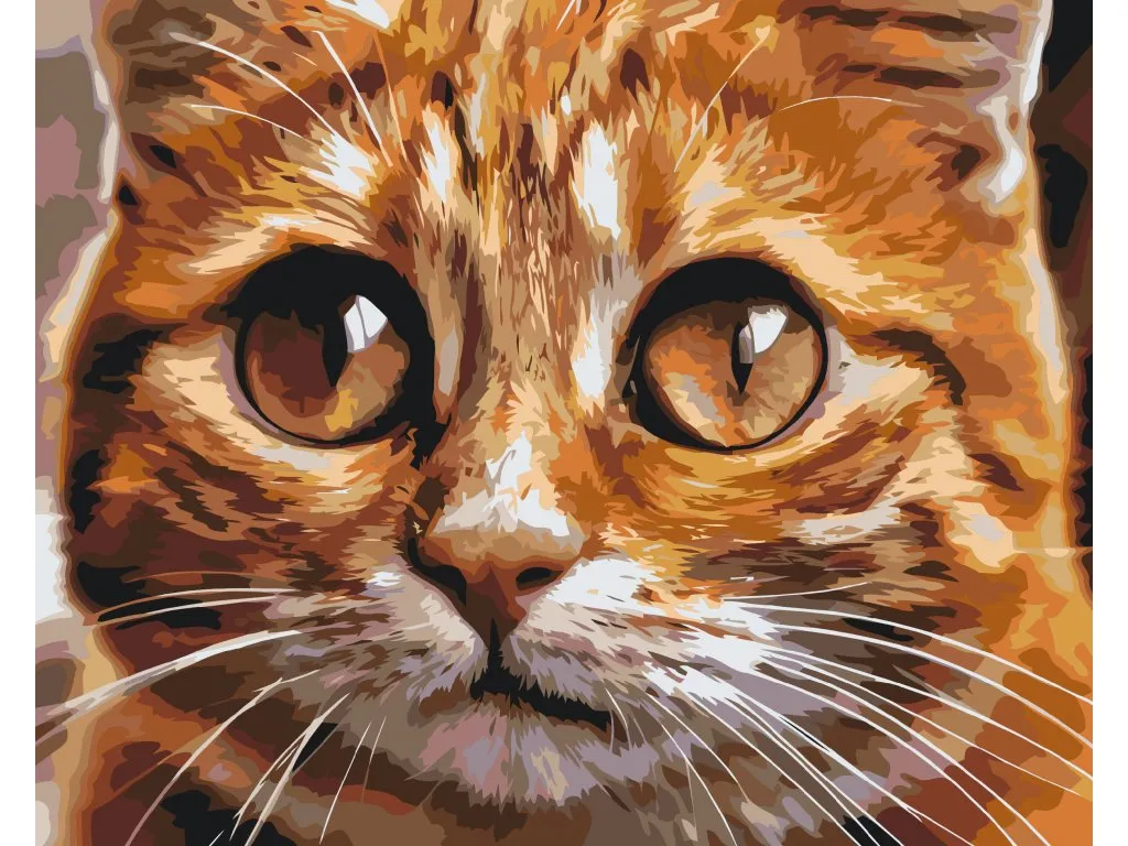 Pintar por Números - Ojos de gato 2