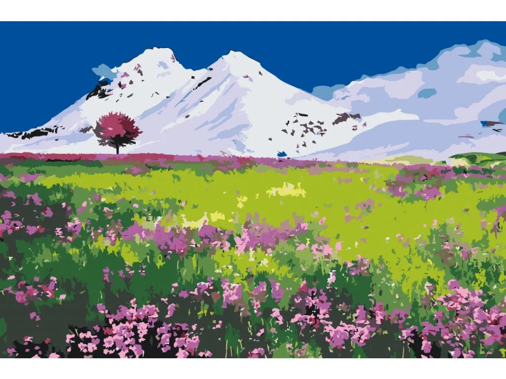 Pintar por Números - Pradera en medio de las montañas