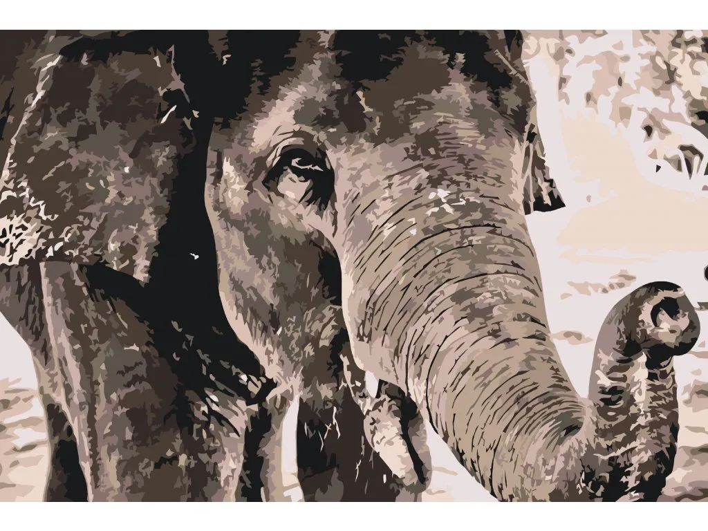 Pintar por Números - Elefante en colores grises