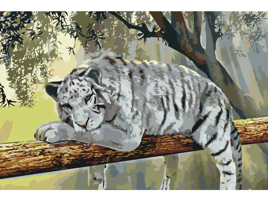 Pintar por Números - Tigre blanco