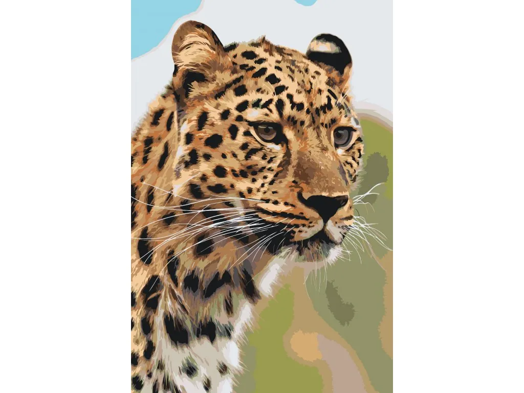 Pintar por Números - l rostro cazador de un leopardo