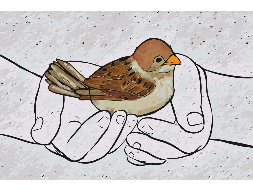 Pintar por Números - Amor por los animales