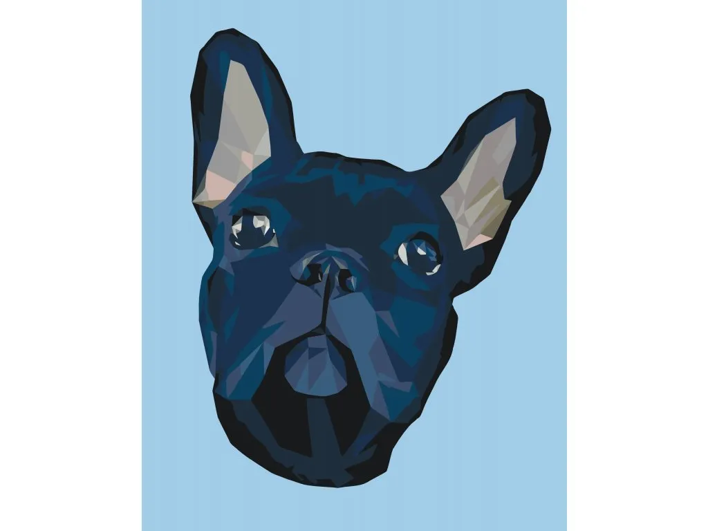Pintar por Números - Bulldog francés 4