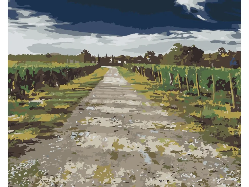 Pintar por Números - Viñedos toscanos