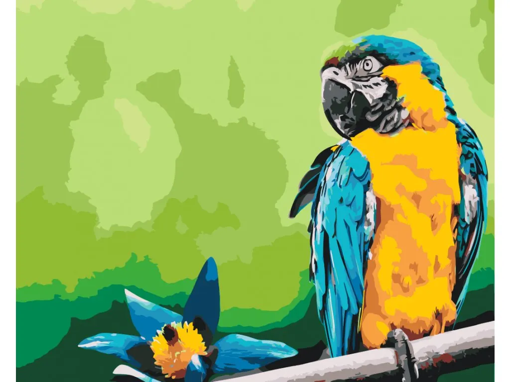 Pintar por Números - Loro y flor