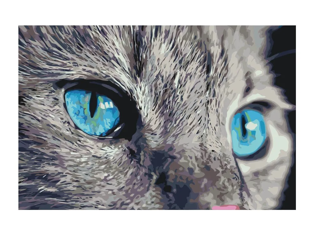 Pintar por Números - Una mirada penetrante