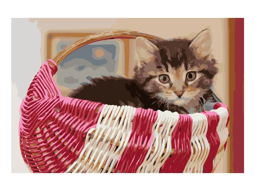 Pintar por Números - Gato en la cesta