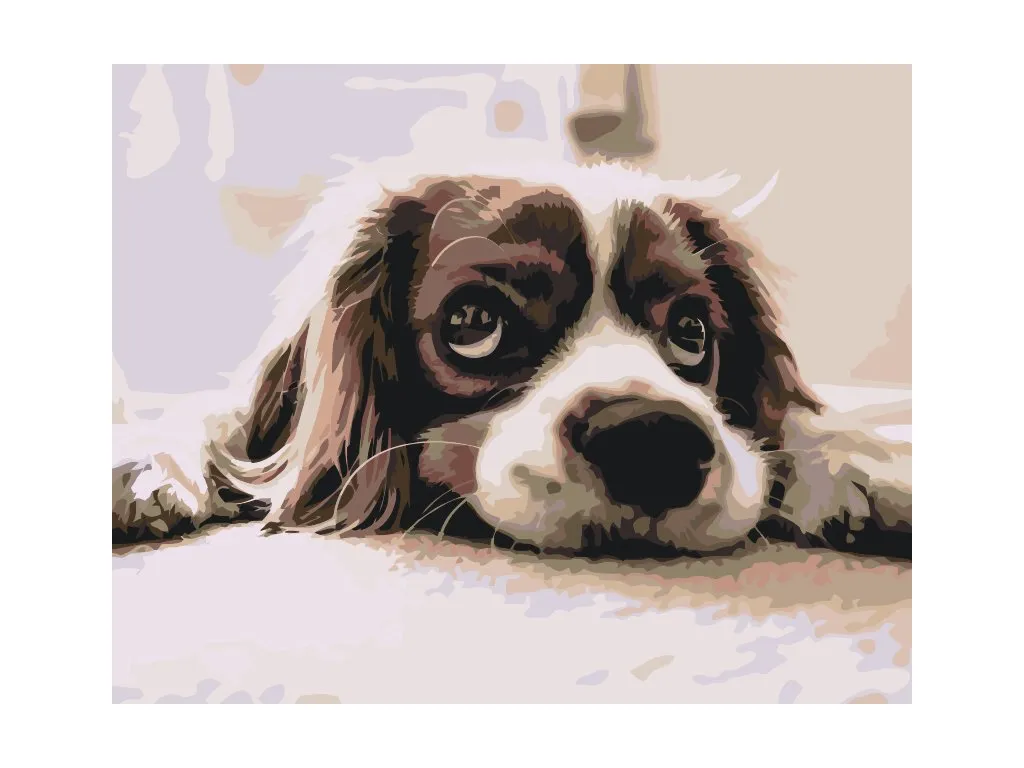 Pintar por Números - Lindo perro
