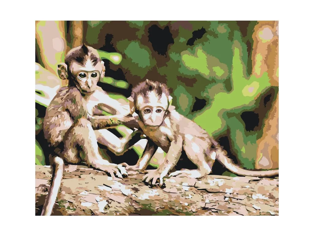 Pintar por Números - Monos
