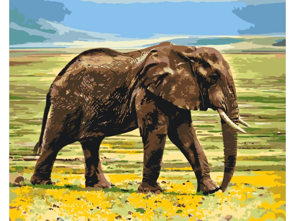 Pintar por Números - Safari en elefante