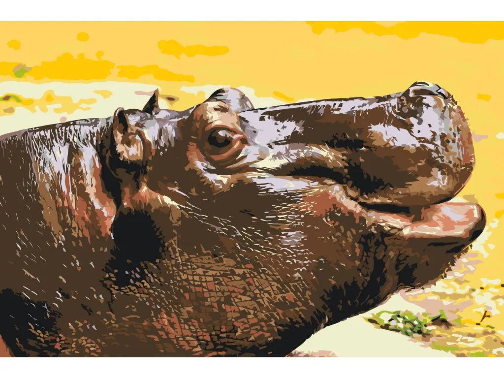 Pintar por Números - Safari hipopótamo