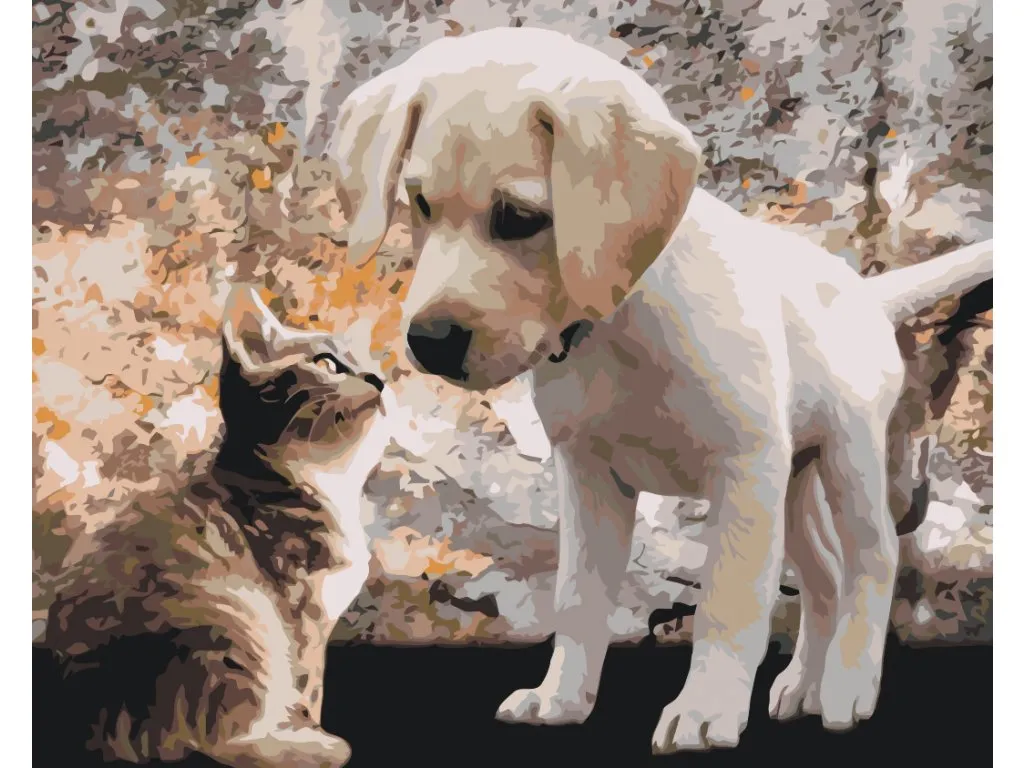 Pintar por Números - Cachorro y gatito