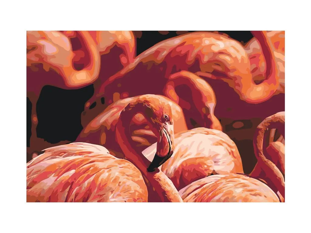 Pintar por Números - Flamencos 2