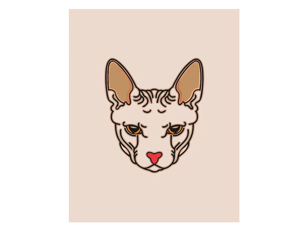 Pintar por Números - Cabeza de gato