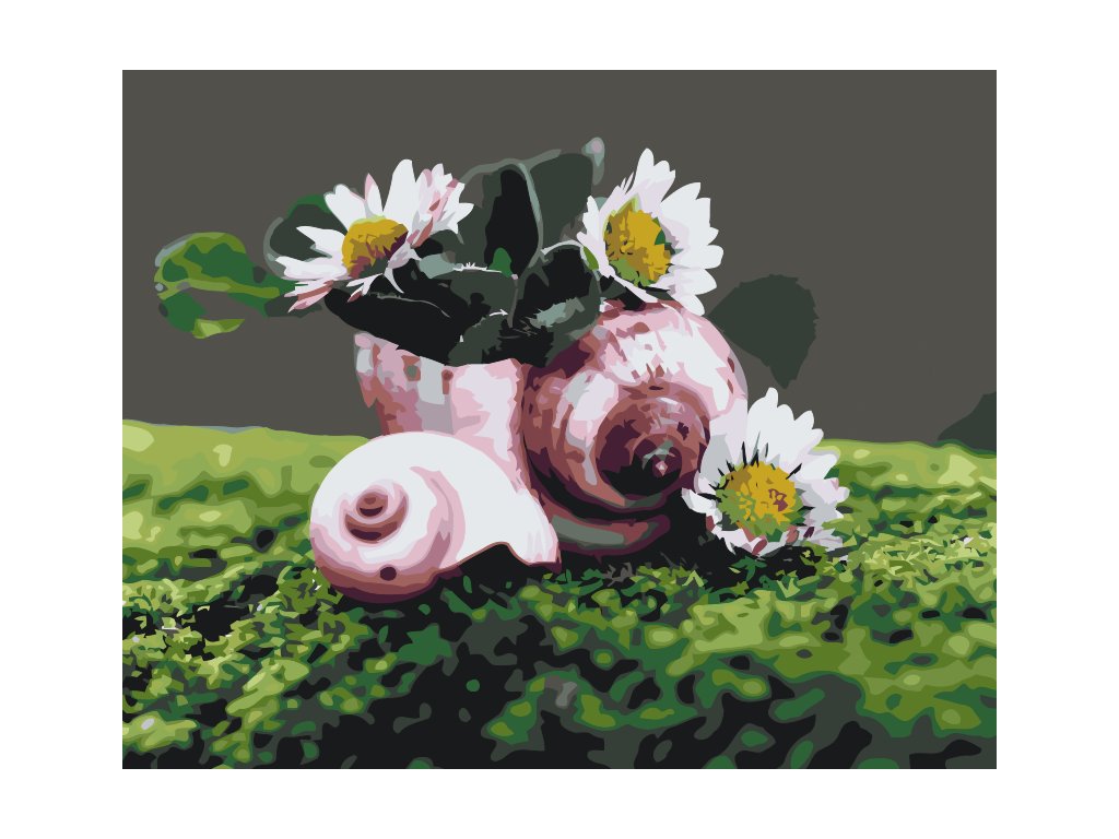 Pintar por Números - Margaritas en ciernes