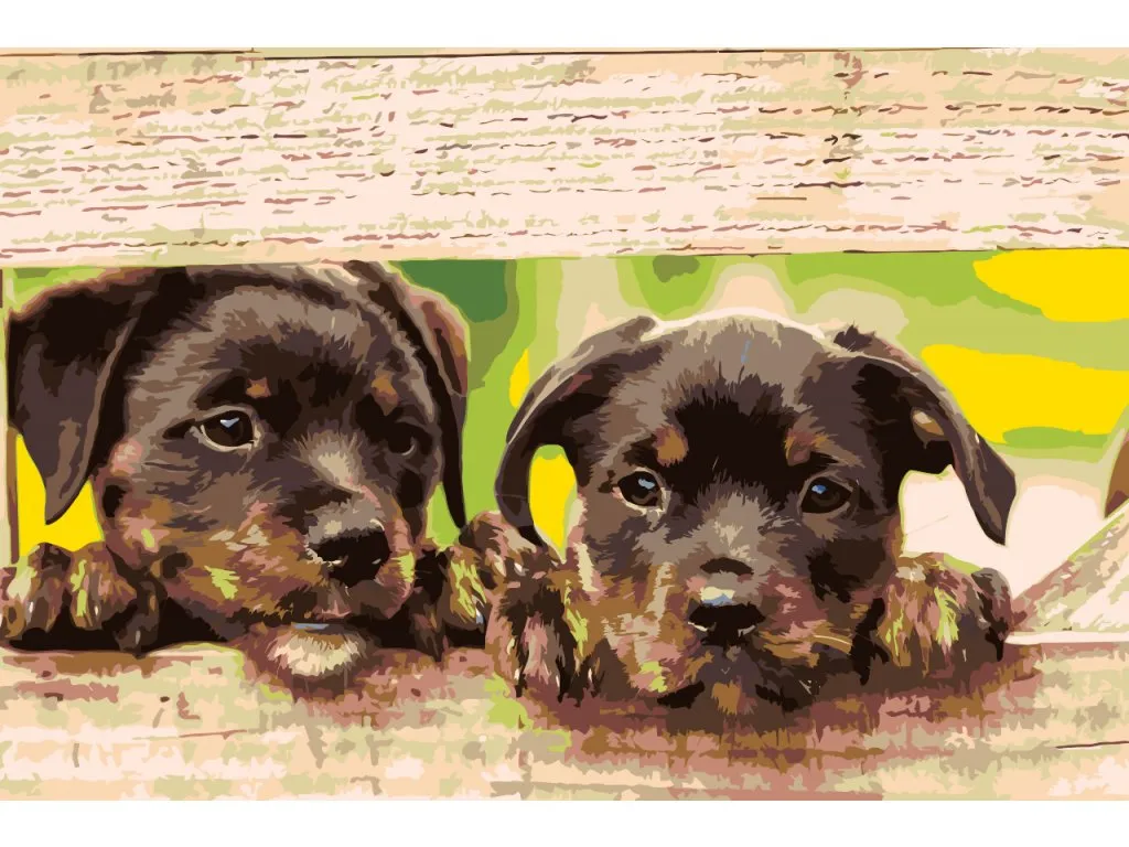 Pintar por Números - Cachorros