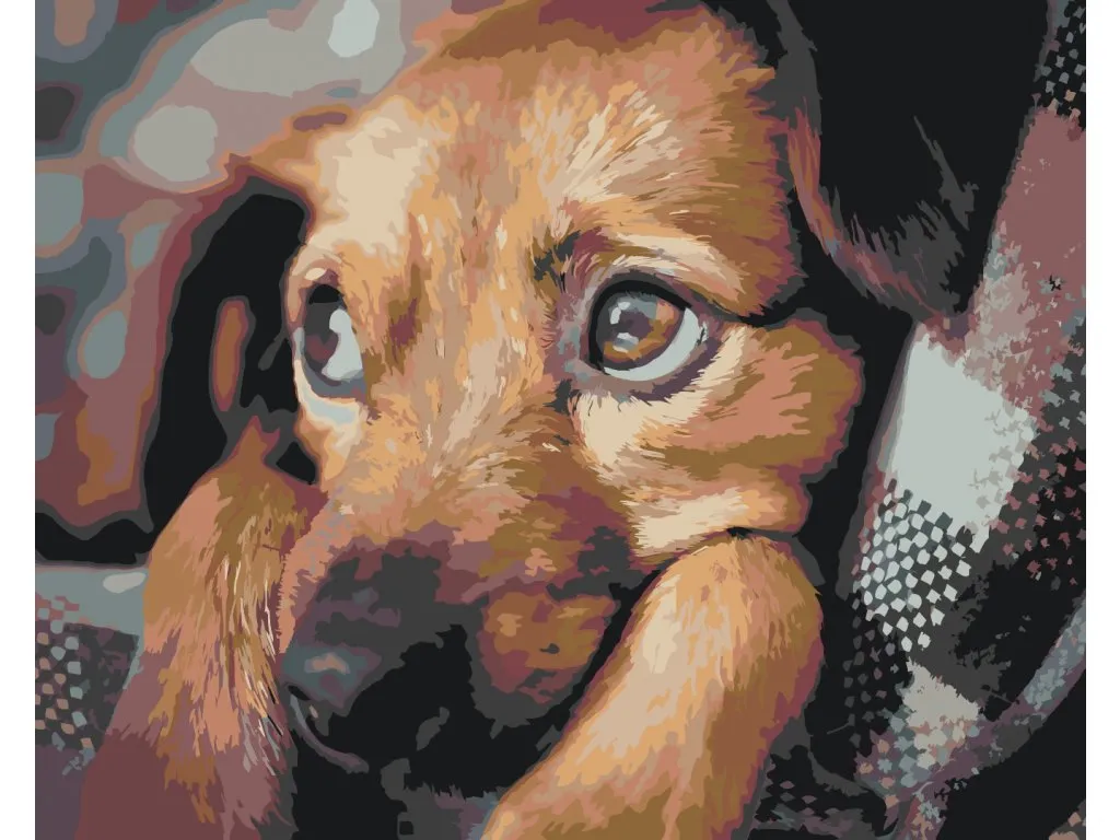 Pintar por Números - Cachorro