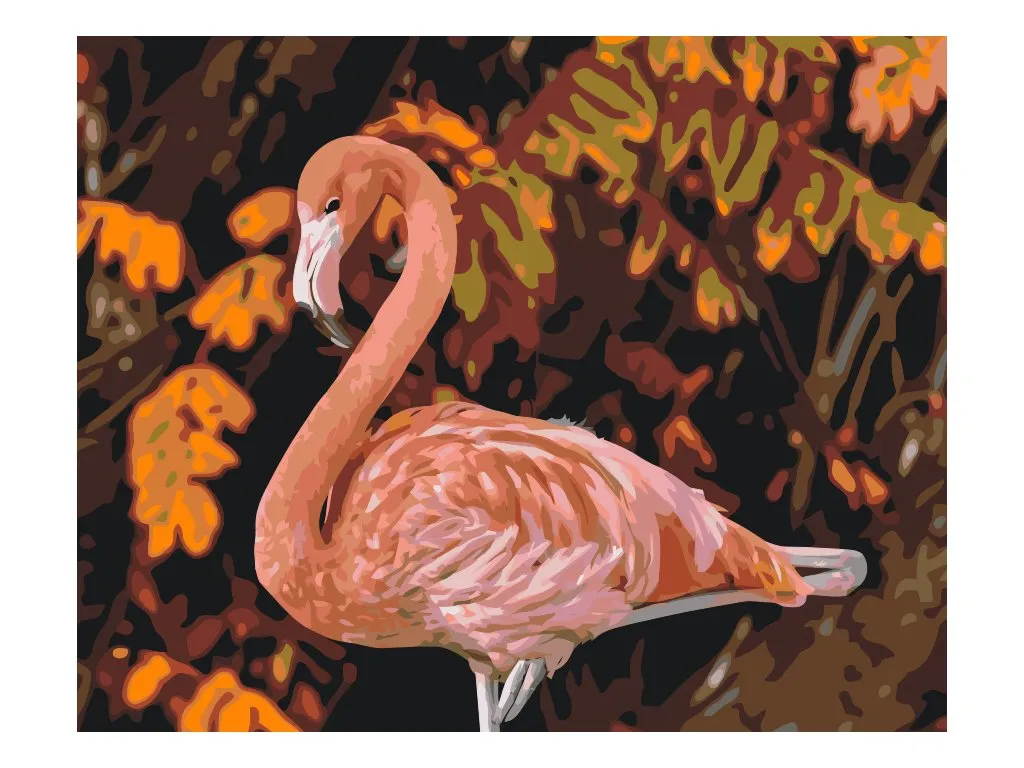 Pintar por Números - Flamenco en la naturaleza