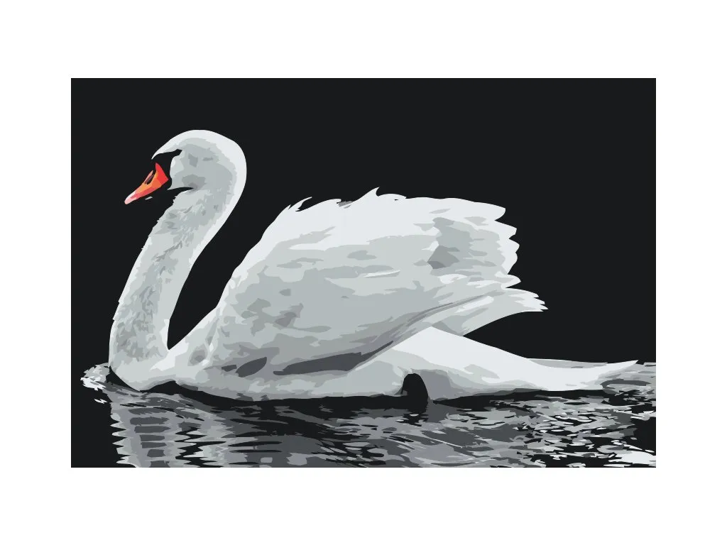 Pintar por Números - Cisne blanco