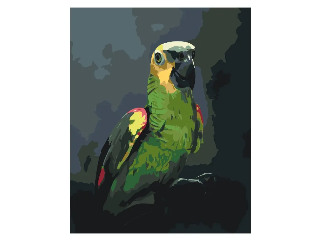 Pintar por Números - Loro amazónico