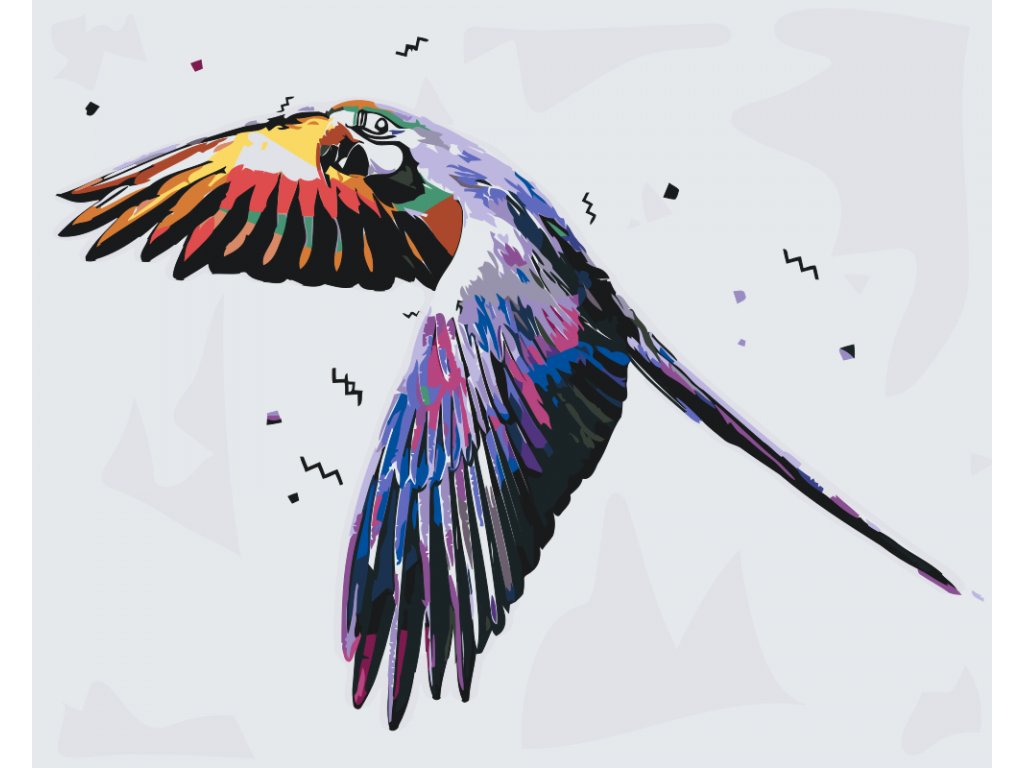 Pintar por Números - Loro volador