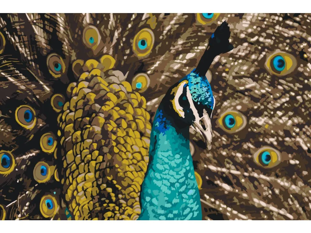 Pintar por Números - Pavo real orgulloso