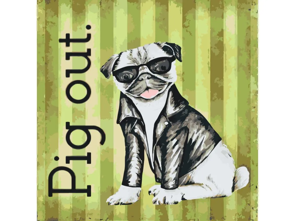 Pintar por Números - Pug con gafas