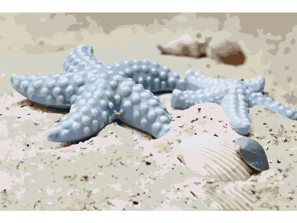 Pintar por Números - Estrellas de mar en la arena