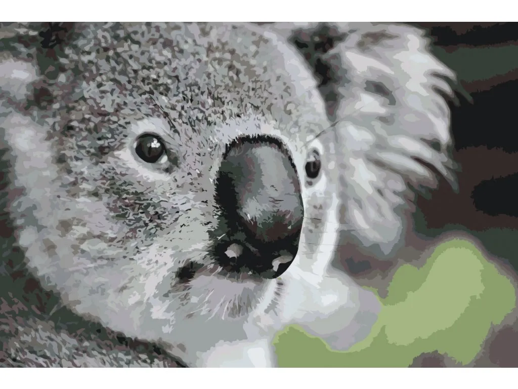 Pintar por Números - Osito koala