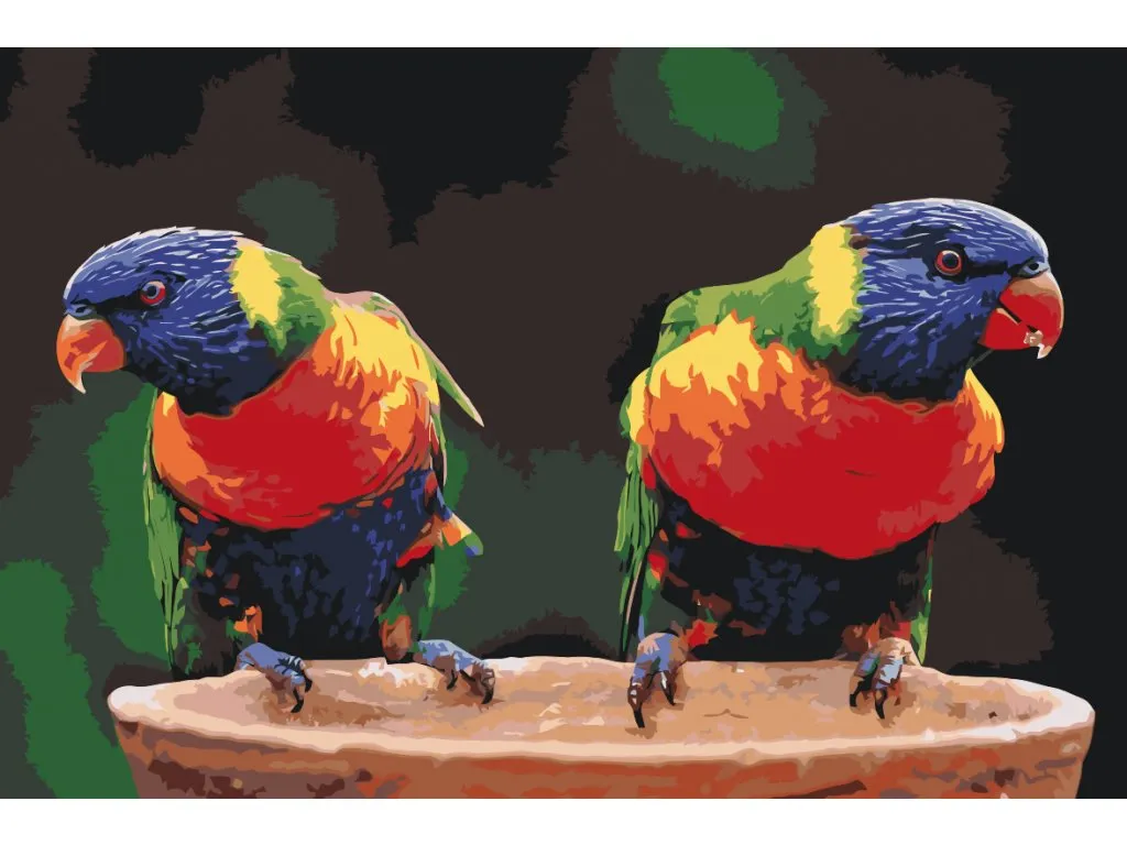 Pintar por Números - Loros arco iris