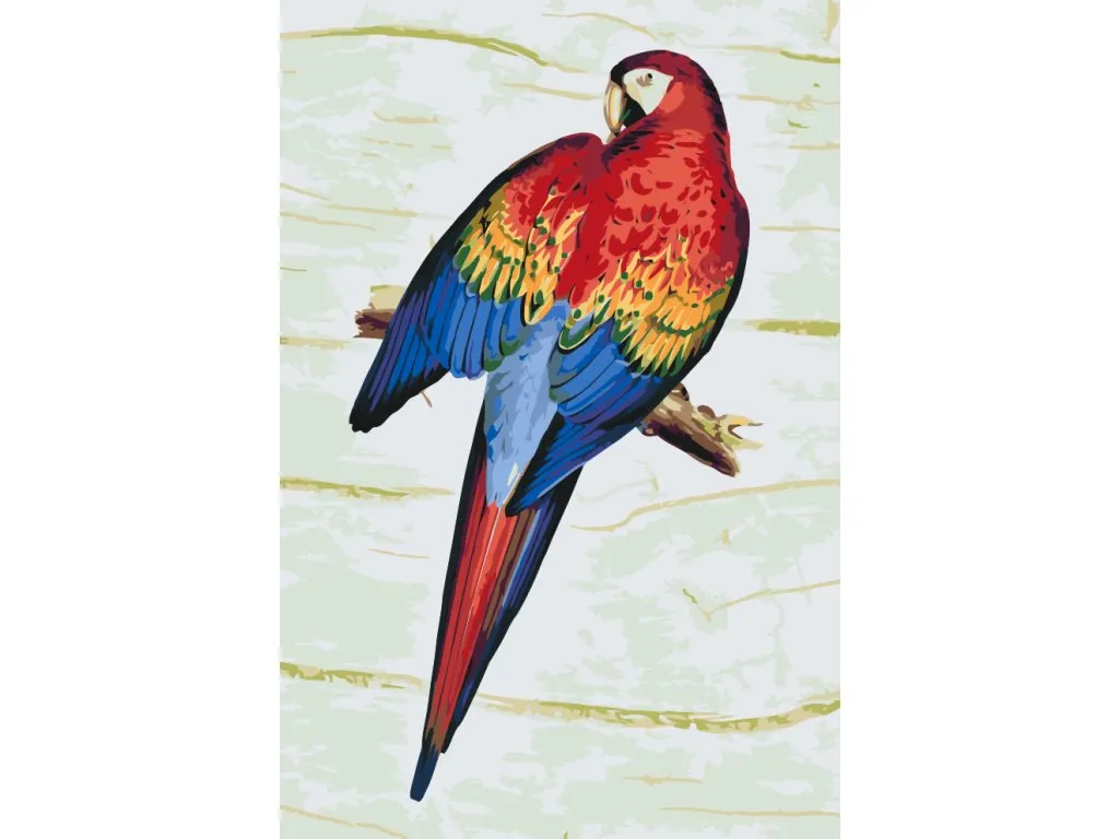Pintar por Números - Loro vintage 2