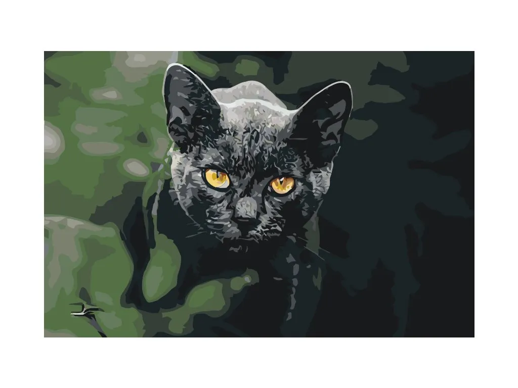 Pintar por Números - Gato negro